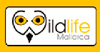 wildlife